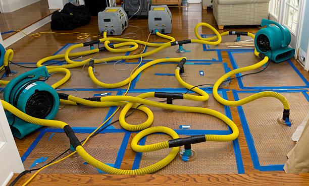 Professional Basement Flood Cleanup technician working in Solana Beach, CA